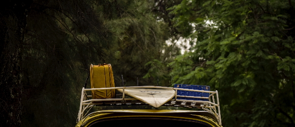 Carrying capacity